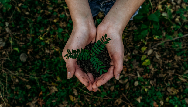 【Special Topic】Green Anniversary - World Earth Day