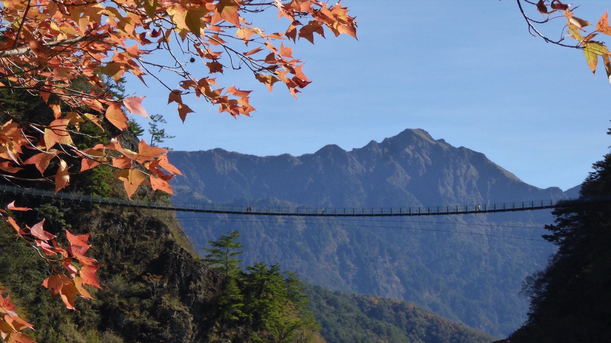 【Internship Site Introduction】Forestry Bureau Nantou Forest District Office Aowanda Nature Center in Taiwan Internship